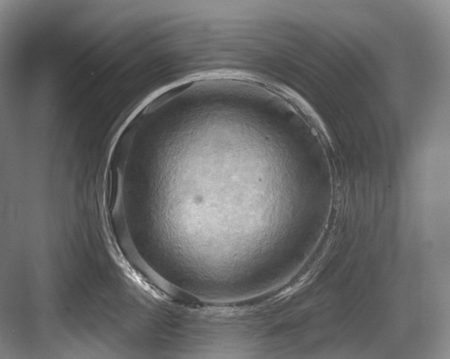 X0000084020860200702161226