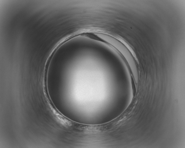 X0000084020861200702161226