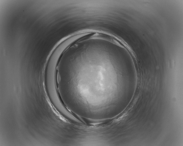 X0000084020862200702161226