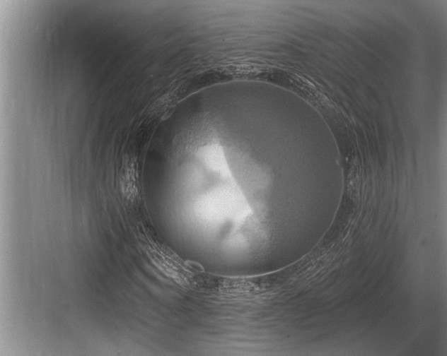 X0000084020866200702161225