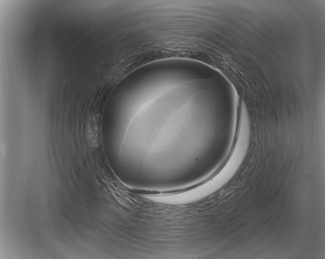 X0000084020868200702161225