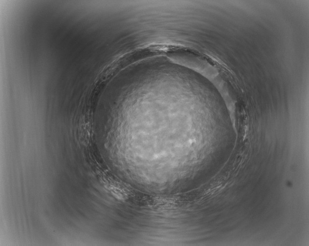 X0000084020870200702161225