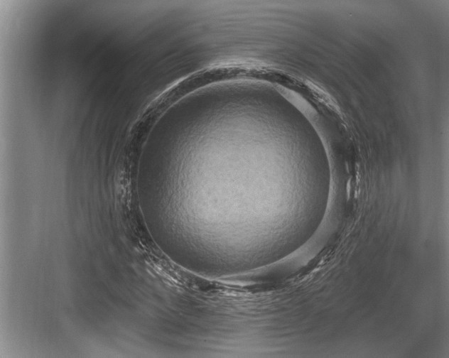 X0000084020872200702161225