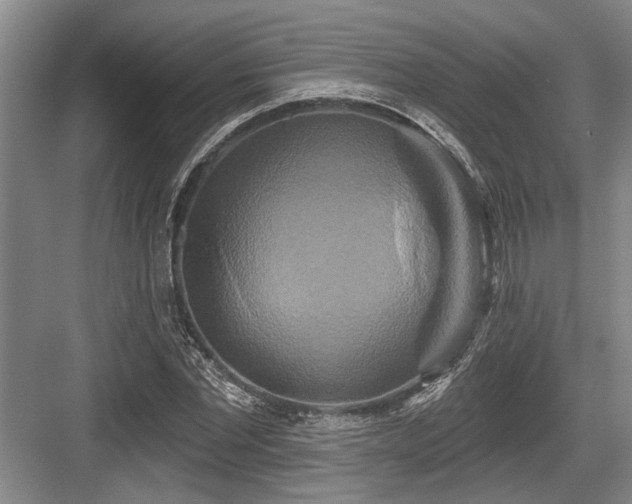 X0000084020877200702161225