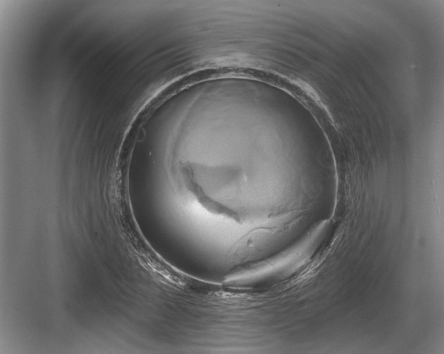 X0000084020879200702161225