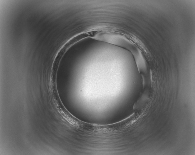 X0000084020880200702161225