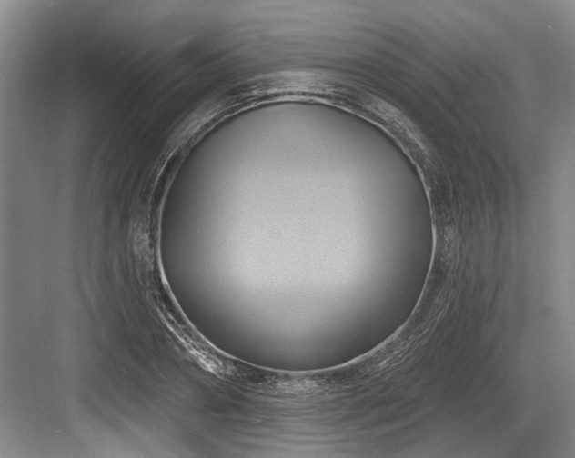 X0000084020882200702161225