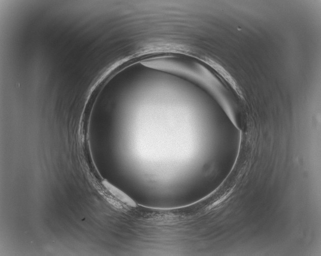 X0000084020885200702161225