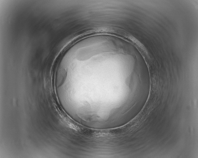 X0000084020886200702161225