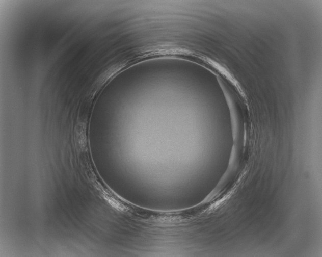 X0000084020889200702161225