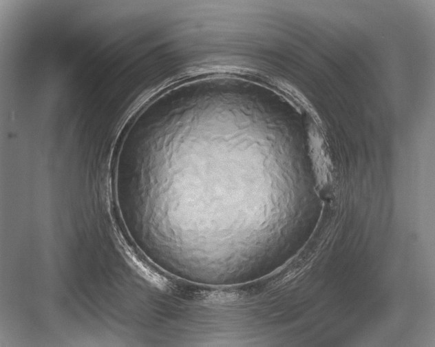 X0000084020890200702161225