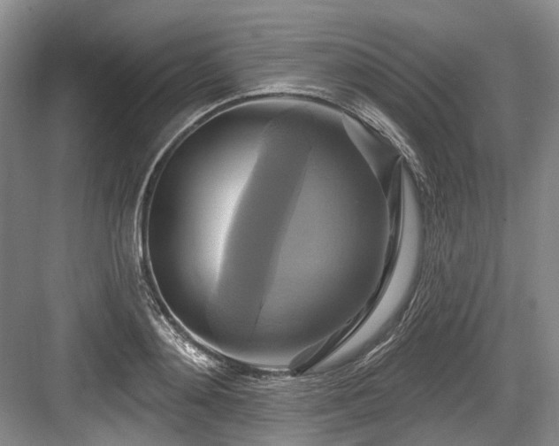 X0000084020892200702161225