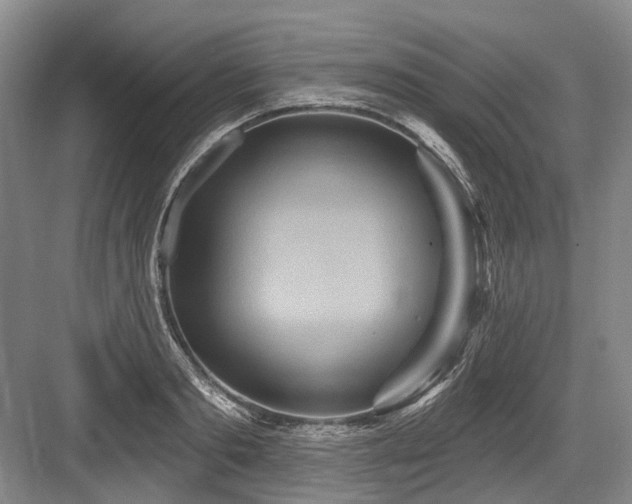 X0000084020893200702161225