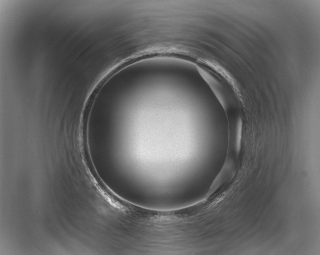X0000084020894200702161225