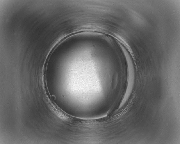 X0000084020899200702161225