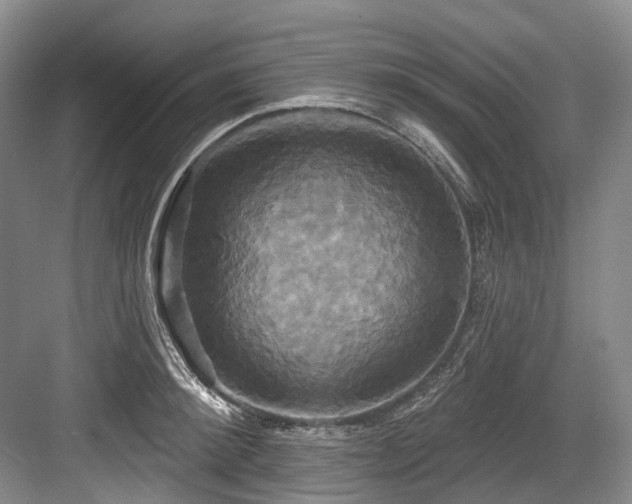 X0000084020900200702161225
