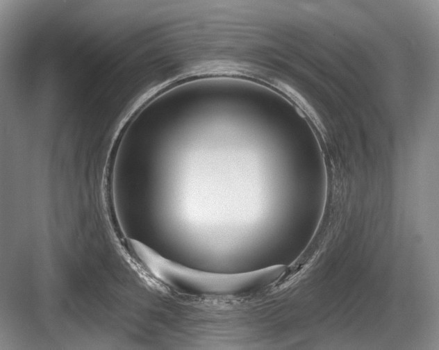 X0000084020901200702161225