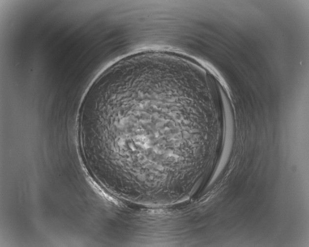X0000084020903200702161224