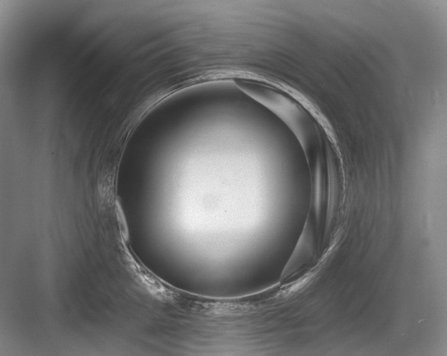 X0000084020905200702161224