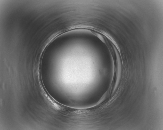 X0000084020906200702161224