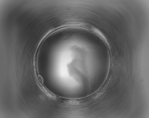 X0000084020907200702161224