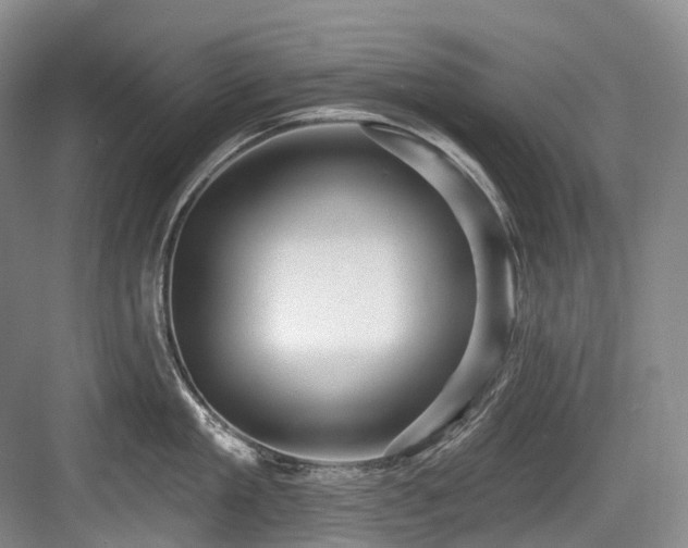 X0000084020909200702161224