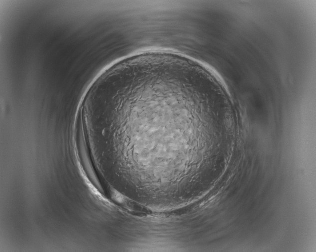 X0000084020911200702161224