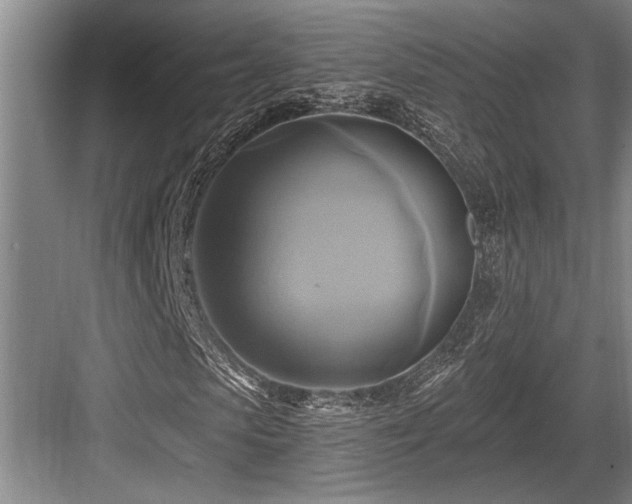 X0000084020913200702161224