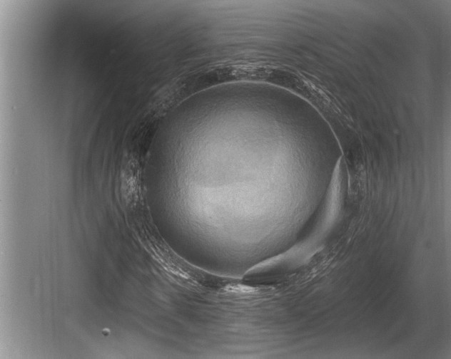 X0000084020914200702161224