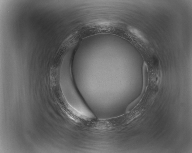 X0000084020916200702161224