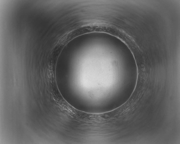 X0000084020918200702161224