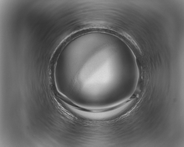 X0000084020926200702161224