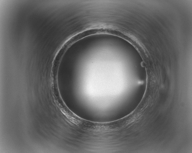 X0000084020927200702161224