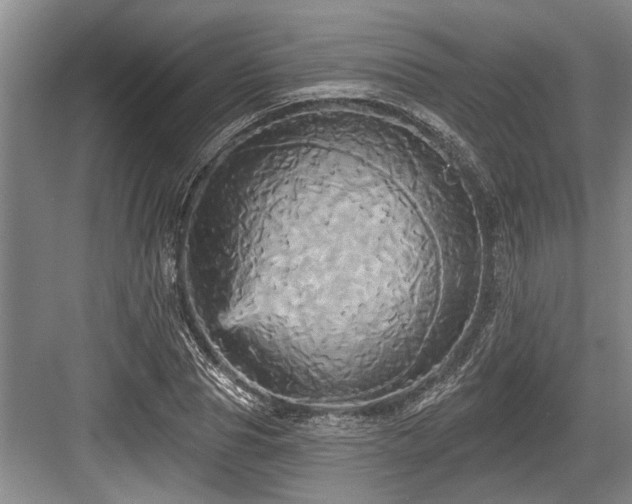 X0000084020929200702161224