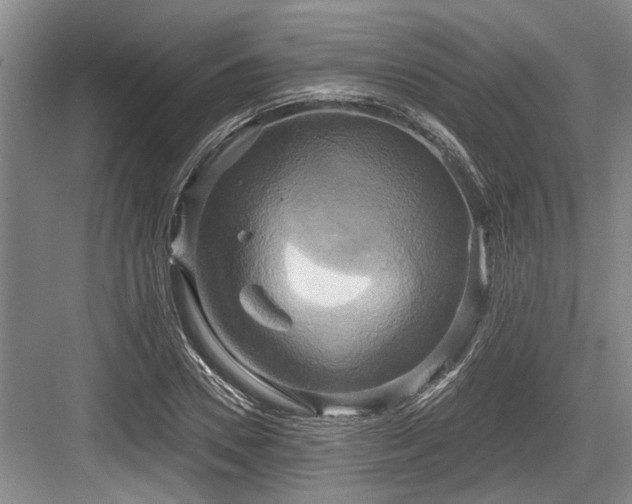 X0000084020930200702161224