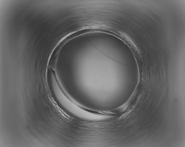X0000084020932200702161224