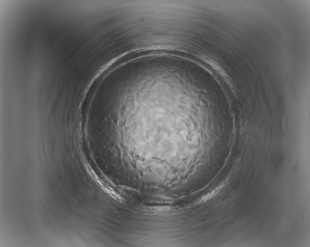 X0000084020933200702161224