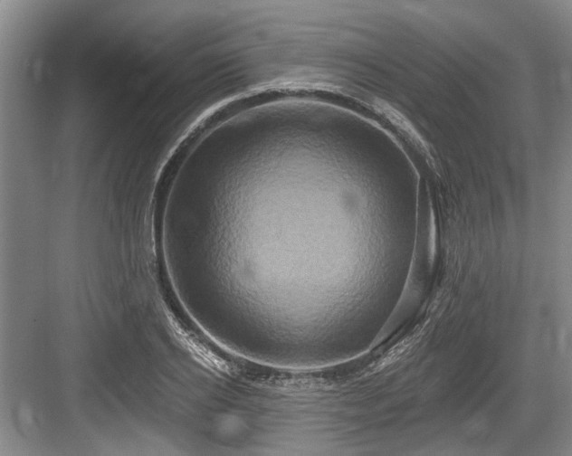 X0000084020934200702161224