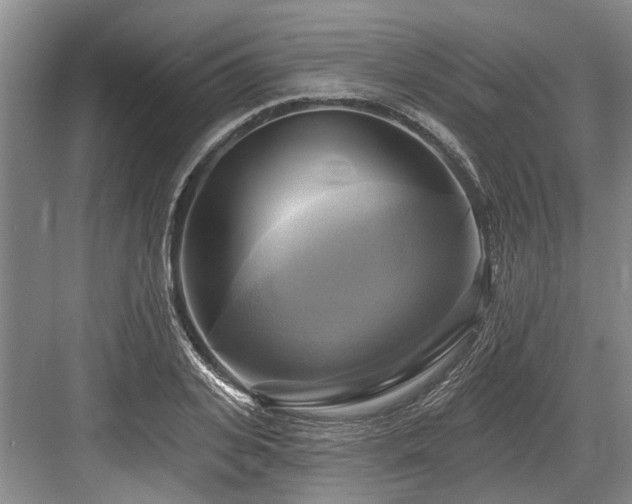 X0000084020935200702161224