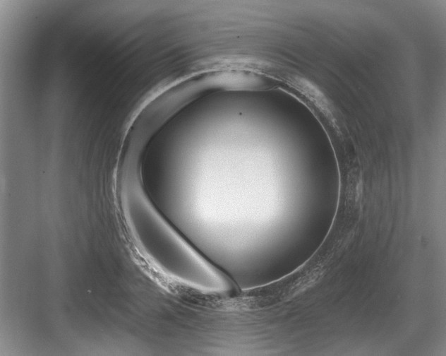 X0000084020936200702161224