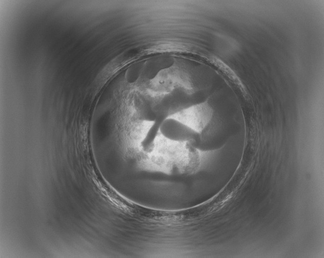 X0000084020937200702161224