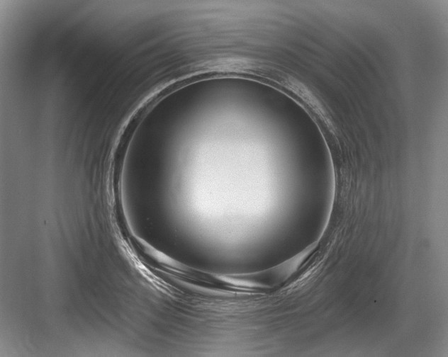 X0000084020939200702161224