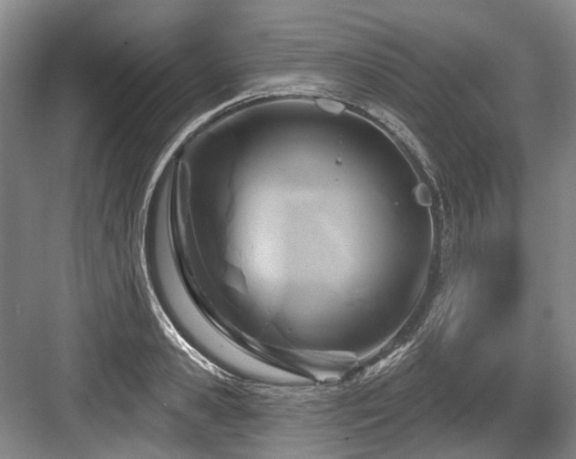 X0000084020941200702161224