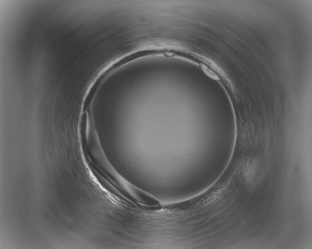 X0000084020943200702161224