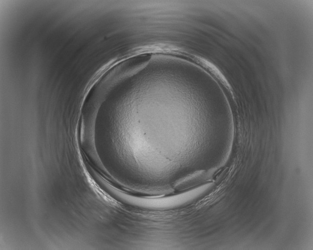 X0000084020946200702161224