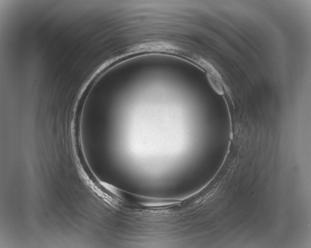 X0000084020947200702161224