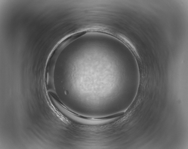 X0000084020948200702161224