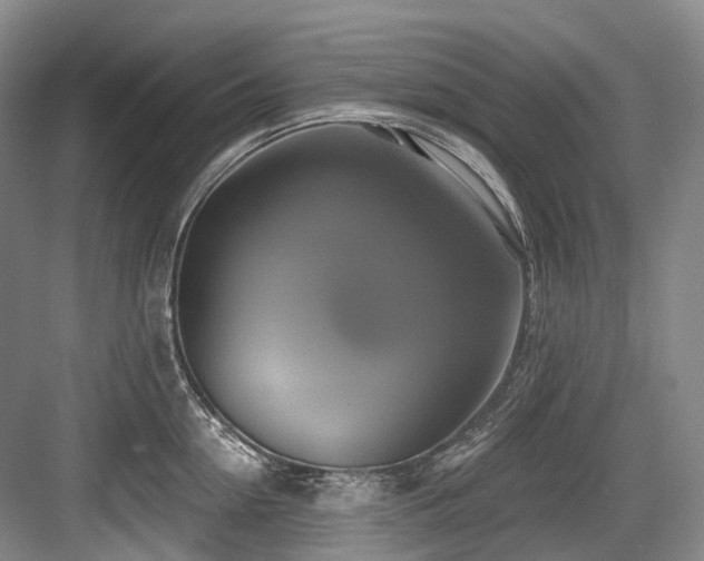 X0000084020954200702161224