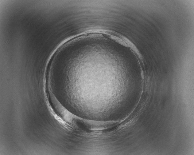 X0000084020955200702161224