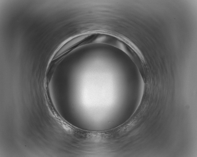 X0000084020956200702161224
